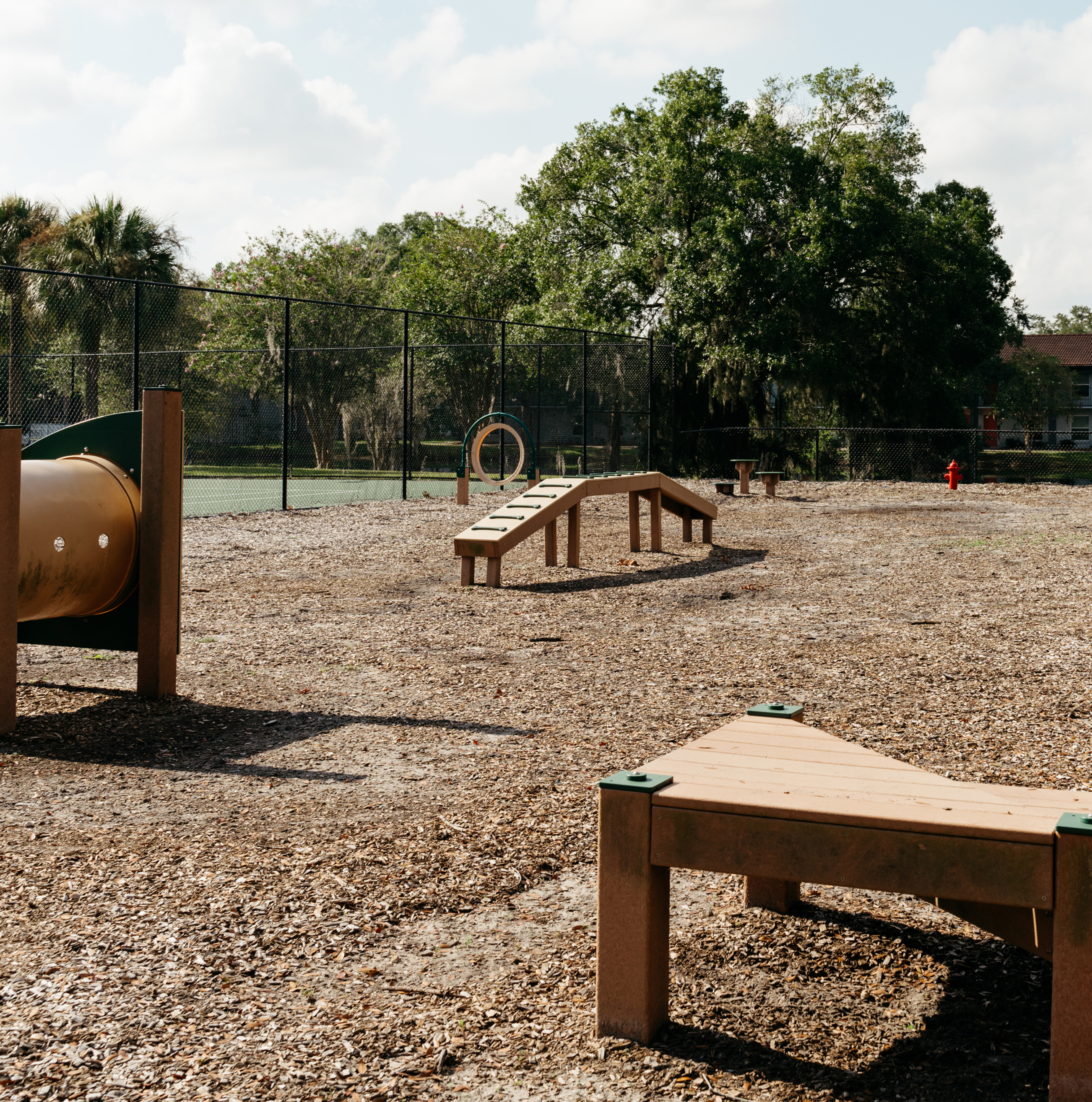 dog park