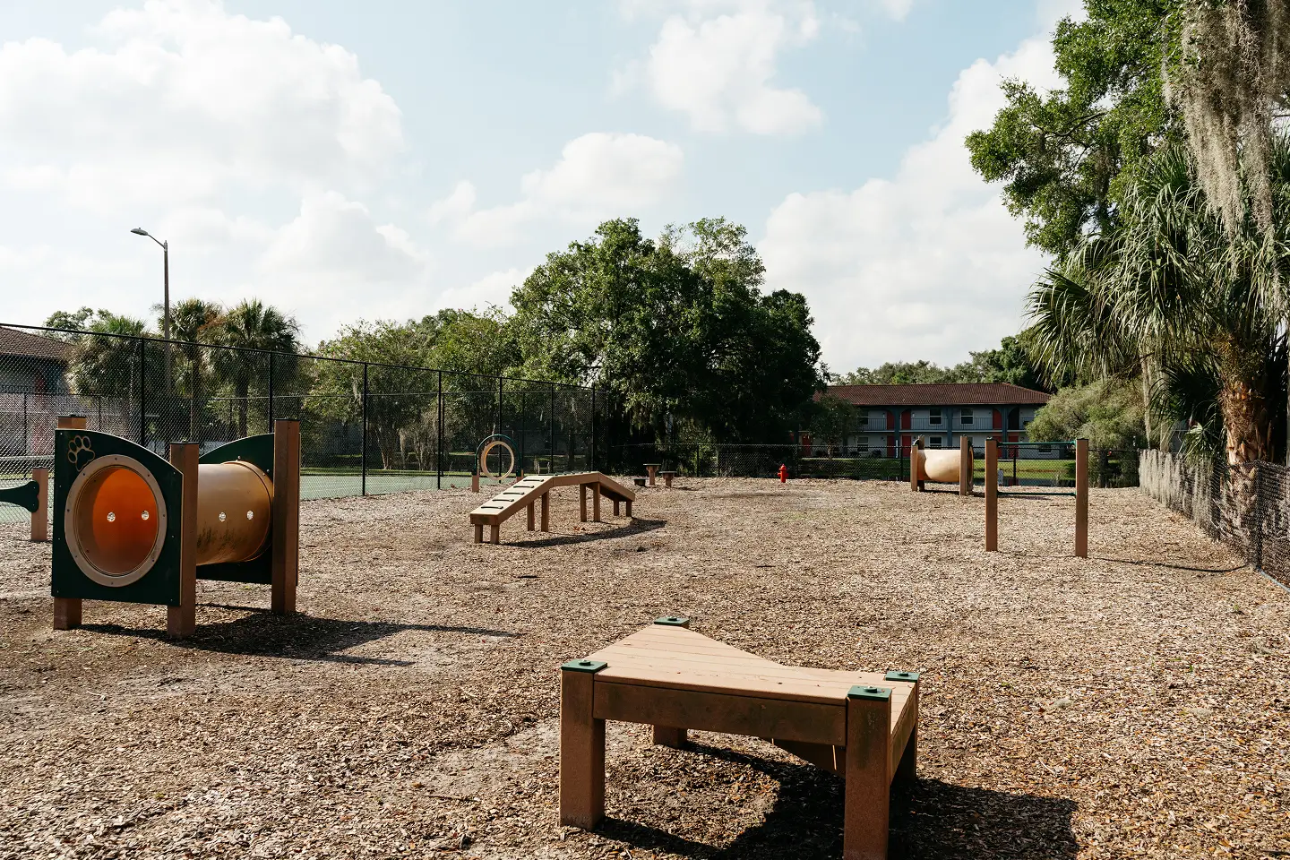 Dog park area with enrichment activities.